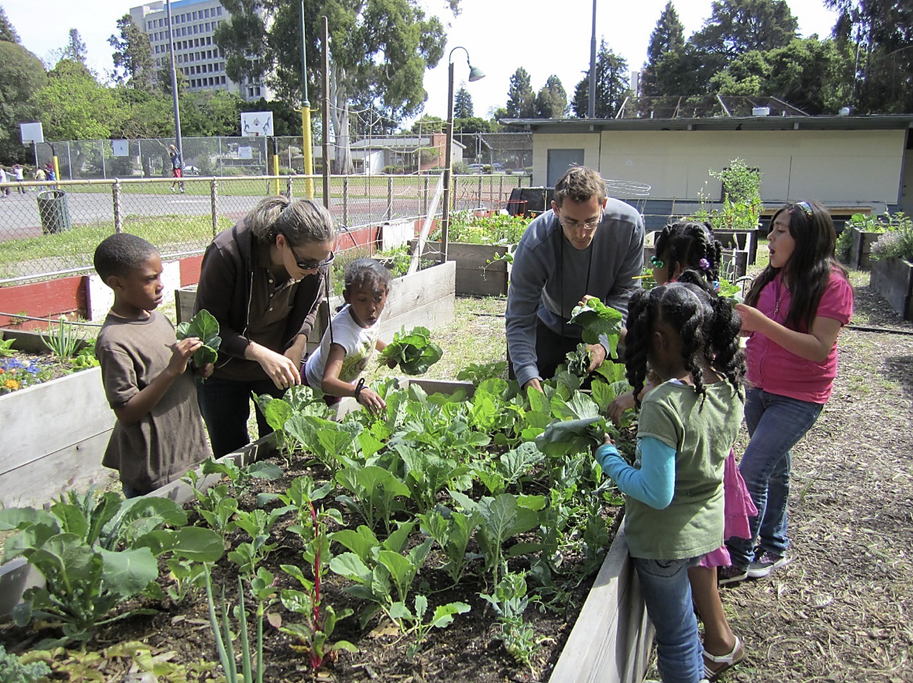 Children and volunteers learning together in a community garden